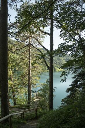 Alpsee