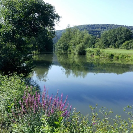 Sommer an der Fränkischen Saale