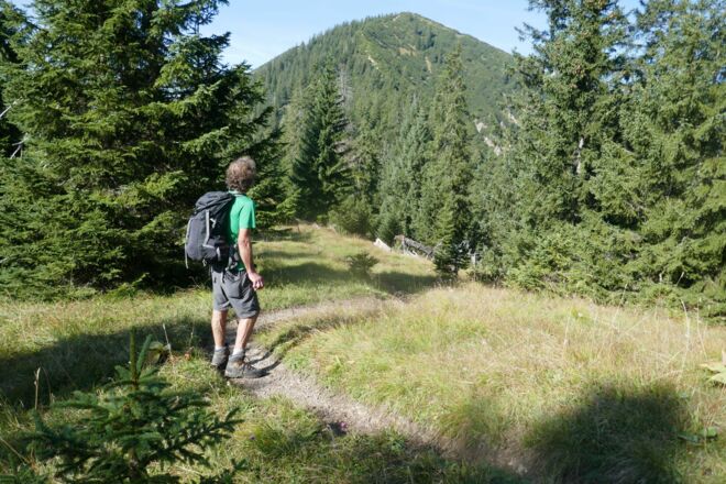 Über Ochsensitz und...