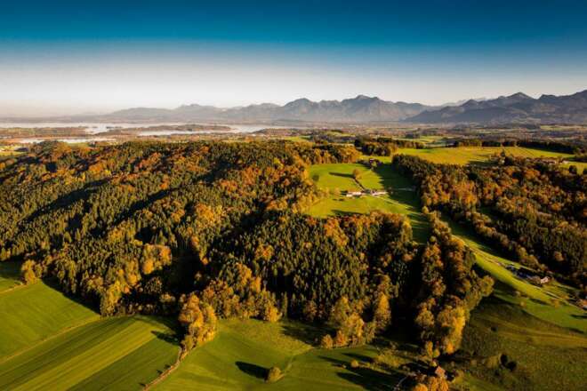 Forstweg Ratzinger Höhe - Ratzinger Höhe, Herbststimmung gesamt