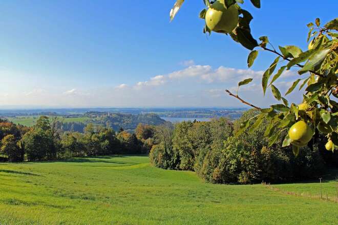 Forstweg Ratzinger Höhe - Ratzinger Höhe, Obst und Kulturweg, Simssee mit Apfelzweig