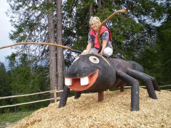 Spaß für Kleine und Große Kinder am Ameisenberg