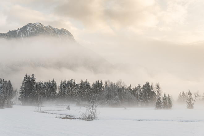 Winterwanderung Weidmoos