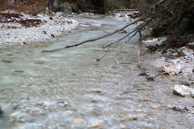 Der Weißenbach im unteren Teil.