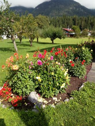 Blick von der Terrasse
