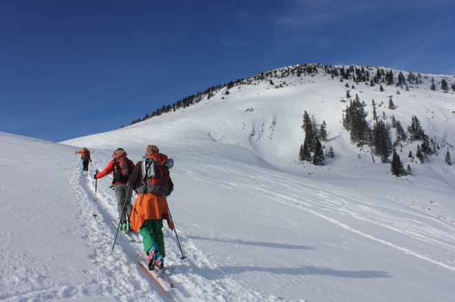 Blick zum Gipfelhang des Simetsbergs