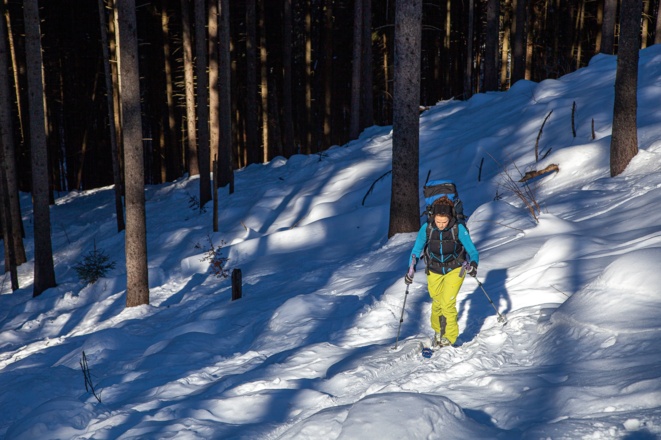 Lichter Hochwald im Aufstieg zum Seekarkreuz