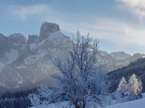 Herrlicher Wintertag Jänner 2021