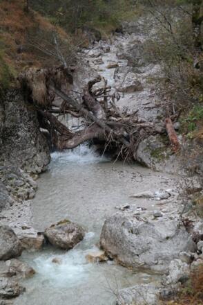 Der Weißenbach im unteren Teil.