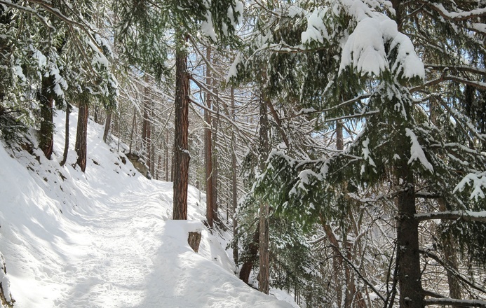 Winterwandern