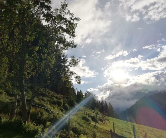 Abendstimmung