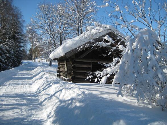 Winterwandern in Bad Bayersoien