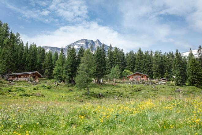 Hohe Tauern Panorama Trail - ET15 Raurisertal - Gainschniggalm