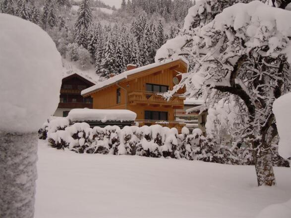 Winterbild 1