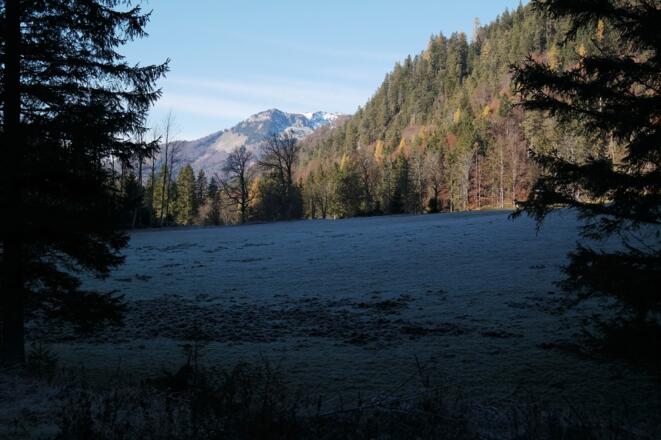 Alm beim Abstieg mit Blick zum Kasberg.