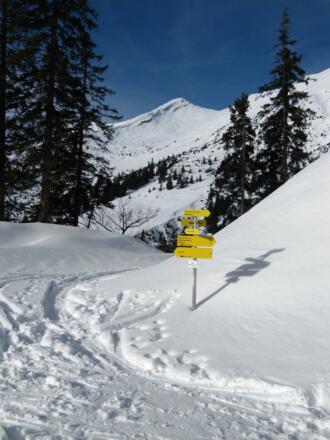 Wegweiser bei der Querung der Fortstraße