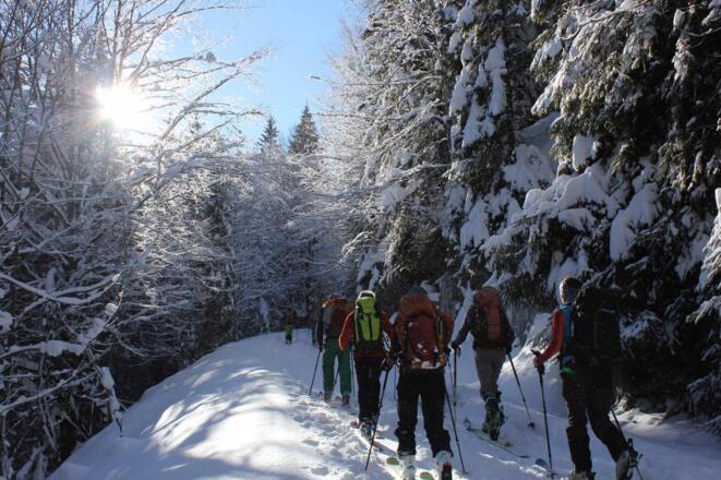 Anstieg auf der Forststraße