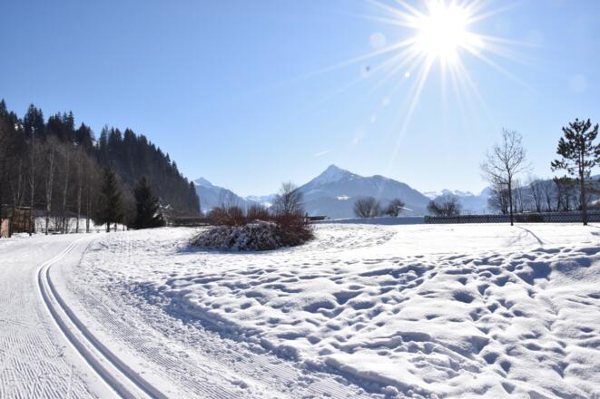 Blick auf den Lackenkogel