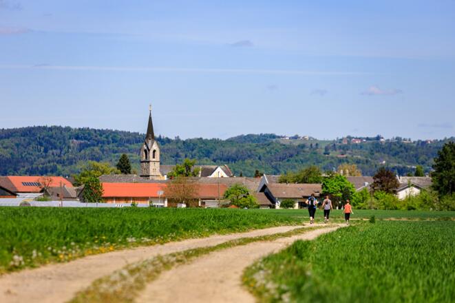 Wolfgangrunde Pupping