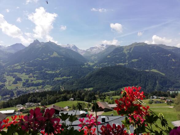Aussicht