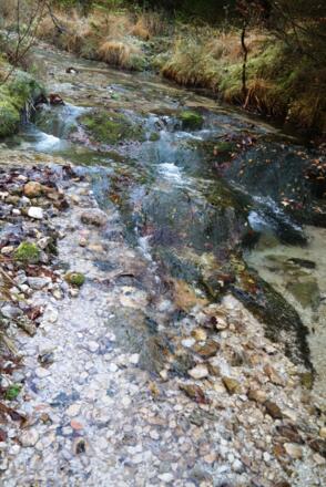 Jetzt begleitet uns ein kleiner, dunkelgrüner Bach, der in den viel größeren Hungeraubach mündet.