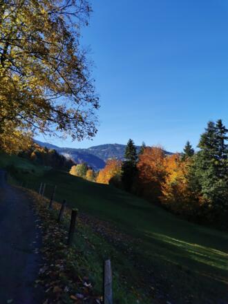 Von Andelsbuch Richtung Bezegg