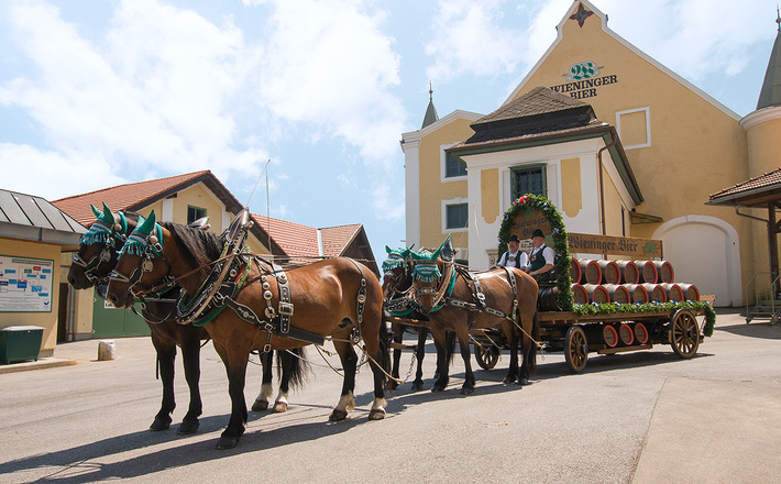 Pferdegespann vor der Brauerei Wieninger