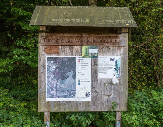 Infotafel Türkenfelder Walderlebnispfad
