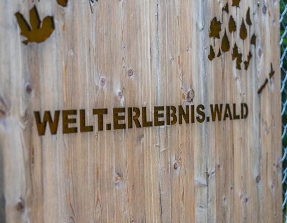 Eingangstor Welt.Erlebnis.Wald