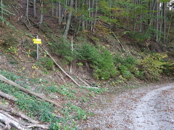 Abzweigung Sepp-Larch-Steig