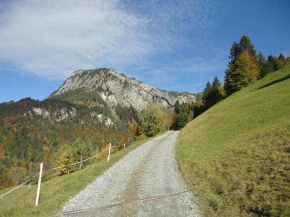 Stehbockweg 05.10.17 008