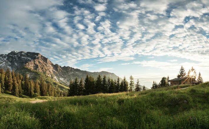 Die obere Ahornalm am Roßfeld