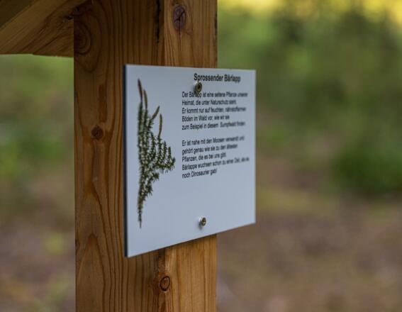 Kleine Infotafel