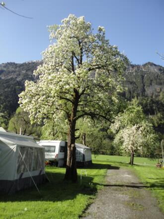 Frühlingserwachen im Klostertal