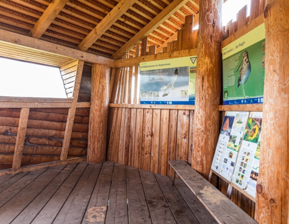 Informations- und Aussichtplattform Naturbeobachtungsturm