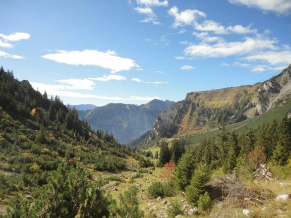 Stehbockweg 05.10.17 040