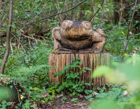Kunstobjekt im Welt.Erlebnis.Wald