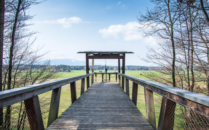Aussichtsplattform am Haarmoos