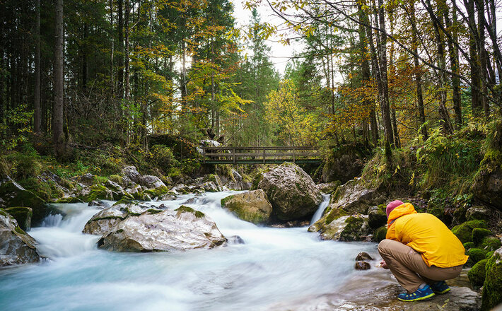 Das Wasser rauscht durch den Zauberwald