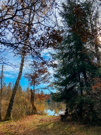 Birkensee zwischen Gelting und Eurasburg