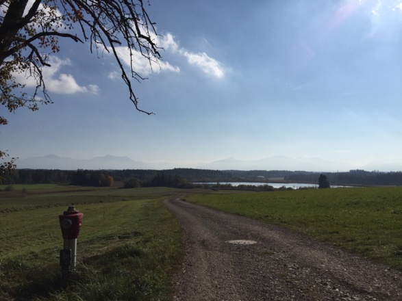 Alpenblick zwischen Oberbrunn und Eschenau
