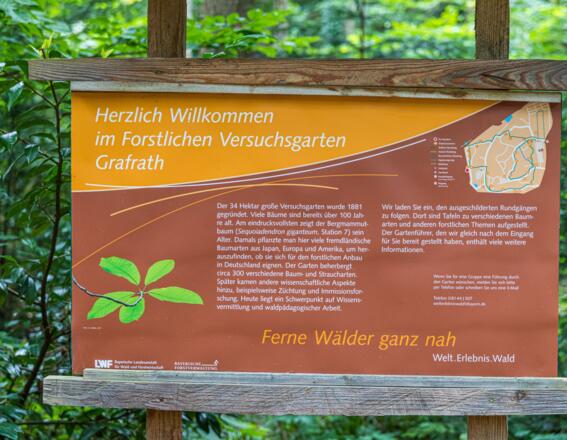 Willkommen im Welt.Erlebnis.Wald Grafrath