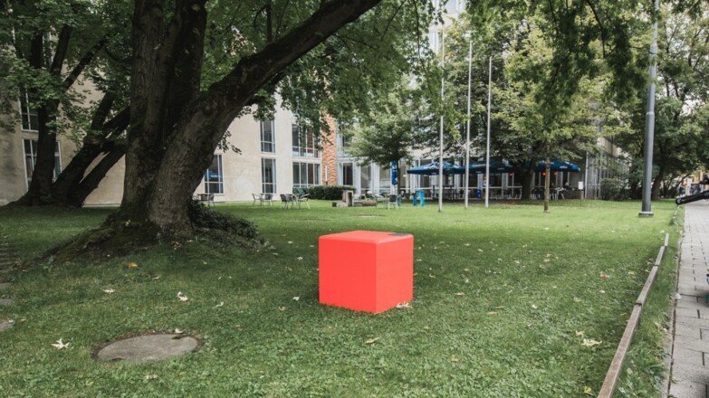 Grünfläche des Hochschulgeländes auf Seiten der Barer Straße