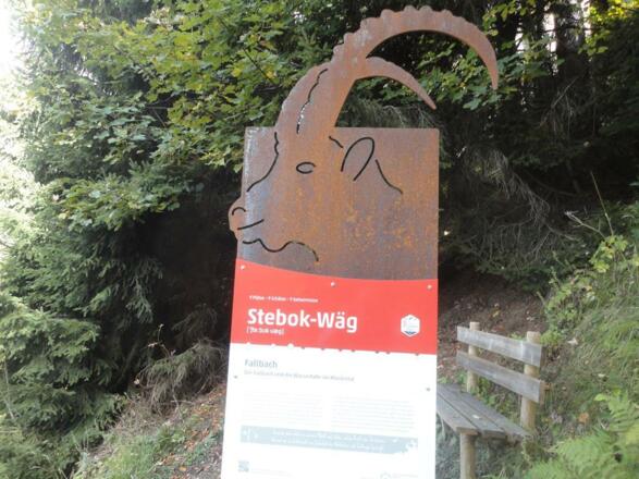 Stehbockweg 05.10.17 023