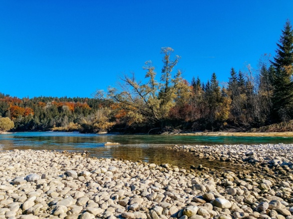 Naturschutzgebiet Isarauen