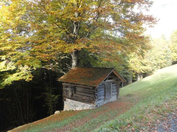 Stehbockweg 05.10.17 010
