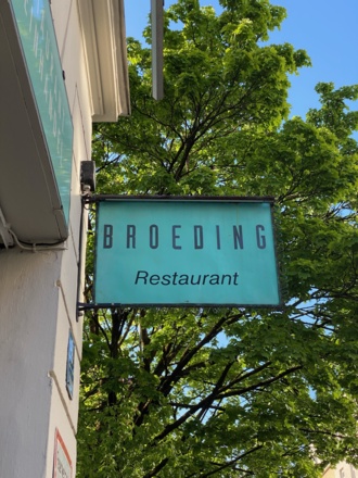 Broeding