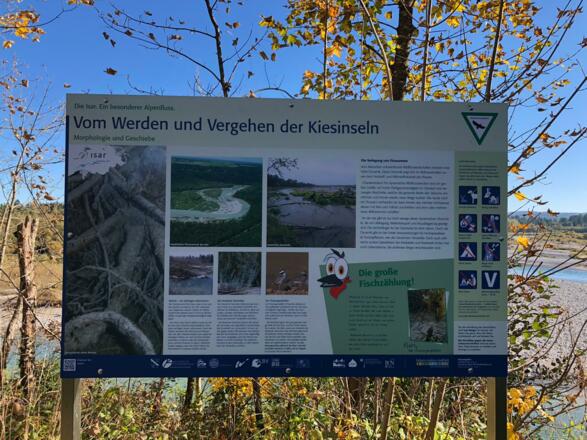 Naturschutzgebiet Isarauen