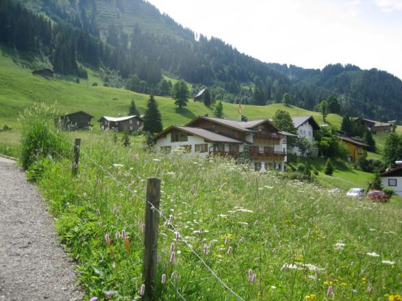 Der Blick vom Wanderweg zum Haus