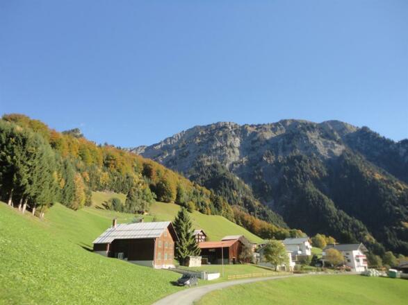 Stehbockweg 05.10.17 002